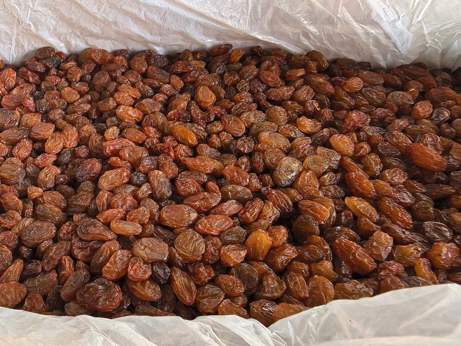 Raisin Raisin